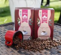 Governo da Bahia estrutura rede de produção de café de alto padrão da agricultura familiar