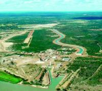 Produção no Baixio de Irecê, na Bahia, pode chegar a 8 mil hectares em 2023