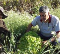 Assistência técnica para agricultura familiar sustentável no território de Irecê