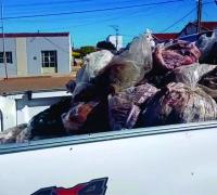 Mais de uma tonelada de carne imprópria para consumo é apreendida em Cafarnaum, interior da Bahia