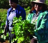 Associações de agricultura familiar fomentam a economia local e a autoestima das mulheres em Lapão