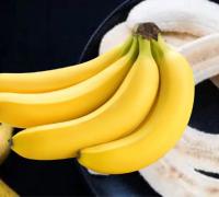 Baianas descobrem erva capaz de combater apodrecimento de banana
