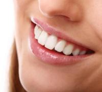 1º remédio para nascimento de novos dentes será testado em humanos