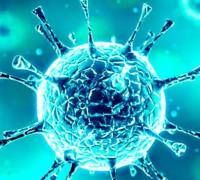 Relatório de inteligência dos EUA afirma que China não criou o coronavírus como arma biológica