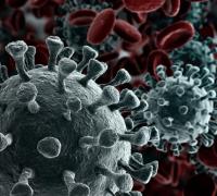 Novo coronavírus pode ser transmitido pelas fezes, aponta estudo