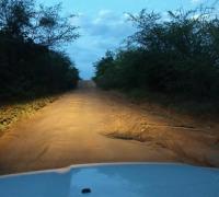 Estrada de Ipupiara até a divisa com Gentio do Ouro está em péssimas condições
