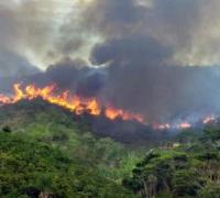 Incêndio de grande proporção avança pela Serra do Sincorá na Chapada Diamantina