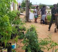 Ativistas ambientais de Uibaí arborizam bairro e reforçam plantios no Morro Branco, neste domingo
