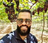 Fazenda em Jussara está produzindo uvas: seria a região de Irecê o novo polo produtor de uva do país?
