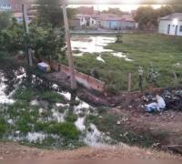 Xique-Xique: População convive com água misturada a esgoto