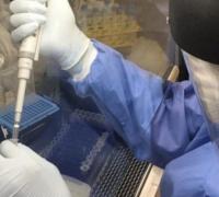 Cientistas testam vacina contra câncer de próstata, pulmão e ovários