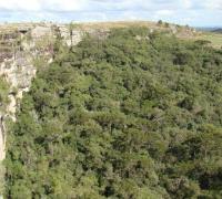 Deputada pede extinção do Parque Nacional dos Campos Gerais; ministro visitará região