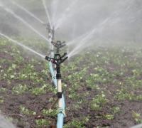 Agricultura irrigada gera disputa por água na Bahia