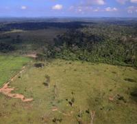 Ibama avisa antecipadamente onde fará operações contra desmatamento na Amazônia