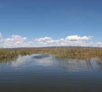 Abertura do Projeto Executivo para a Limpeza da Lagoa de Itaparica acontece em Xique-Xique