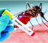 Sesab confirma primeira morte por dengue em Irecê