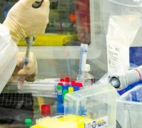 Primeiro caso de reinfecção do coronavírus com mutação achada na África do Sul é registrado em Salvador