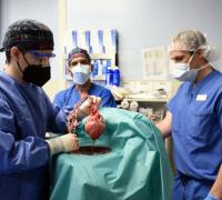 Homem se recupera após transplante com coração de porco