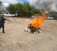 Mais de 600 quilos de drogas são incinerados em Itaguaçu da Bahia nesta quinta-feira, 06