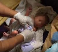Recém-nascido é encontrado em lixo em Itaguaçu da Bahia