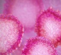 Caso suspeito de coronavírus é descartado em Irecê