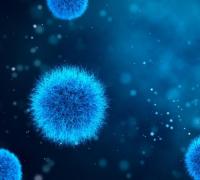 Enzima pode produzir eletricidade praticamente do nada