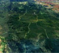 Inema favorece multinacional com histórico de crimes ambientais