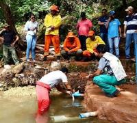 Projeto de recuperação de nascentes por produtores rurais completa dois anos no Oeste da Bahia