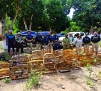 Operação do Inema e da PRF resgata cerca de 1,2 mil aves silvestres na região norte do estado