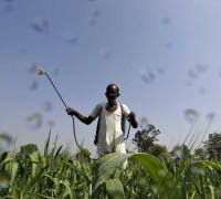 Governo vai aprovar mais agrotóxicos para 