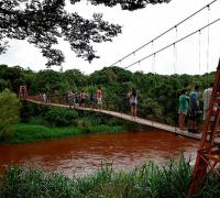 Lama de Brumadinho chegará ao Rio São Francisco em 15 de fevereiro, diz governo