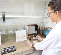 Pela primeira vez, DPT vai realizar teste rápido para identificar drogas sintéticas durante o Carnaval
