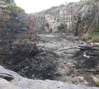 Gentio do Ouro: Incêndio destrói parte da vegetação da Cachoeira do Teotônio