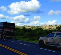 Operação de proteção à flora identifica transporte ilegal de madeira em Xique-Xique