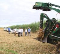 Barra: Grupo português visita projetos de fruticultura e Polo Agroindustrial baiano