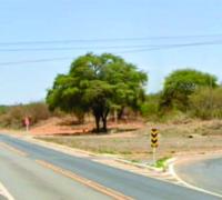 Motocicletas se chocam no contorno de Presidente Dutra; os dois condutores morreram no local