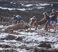 Justiça obriga Vale a socorrer animais atingidos pela lama em Brumadinho