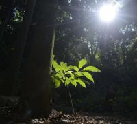 Produtores rurais recebem Pagamentos por Serviços Ambientais