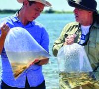 Concurso da Codevasf com 61 vagas foi aberto nesta terça