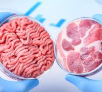 Empresa israelense cria o primeiro bife feito em laboratório no mundo
