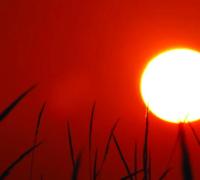 Prepare o ventilador! Calor volta com tudo e temperatura pode ultrapassar os 40°C